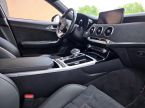 Kia Stinger - fotka číslo 10