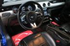 Ford Mustang - fotka číslo 14