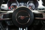 Ford Mustang - fotka číslo 18