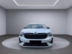 Škoda Kodiaq - fotka číslo 1