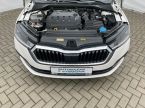 Škoda Octavia - fotka číslo 10