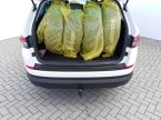 Škoda Kodiaq - fotka číslo 9