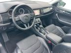 Škoda Kodiaq - fotka číslo 14