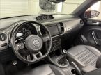Volkswagen Beetle - fotka číslo 12