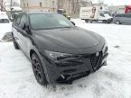 Alfa Romeo Stelvio - fotka číslo 2