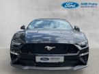 Ford Mustang - fotka číslo 1