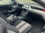 Ford Mustang - fotka číslo 12