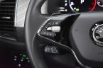 Škoda Kodiaq - fotka číslo 18