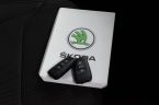 Škoda Kodiaq - fotka číslo 28
