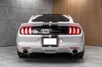 Ford Mustang - fotka číslo 37