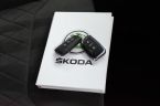 Škoda Kodiaq - fotka číslo 37