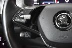 Škoda Kodiaq - fotka číslo 19