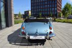 Austin-Healey Ostatní - fotka číslo 10