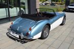 Austin-Healey Ostatní - fotka číslo 12