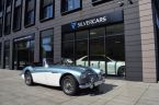 Austin-Healey Ostatní - fotka číslo 1