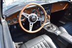 Austin-Healey Ostatní - fotka číslo 19