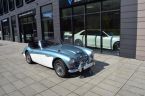 Austin-Healey Ostatní - fotka číslo 2