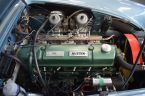 Austin-Healey Ostatní - fotka číslo 29