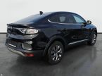 Renault Arkana - fotka číslo 1