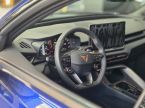 Cupra Terramar - fotka číslo 6