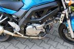Suzuki SV - fotka číslo 3