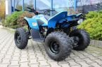 CFmoto Gladiator X110 - fotka číslo 2