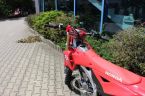 Honda CRF - fotka číslo 4