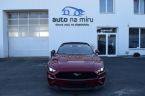 Ford Mustang - fotka číslo 2