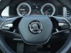 Škoda Kodiaq - fotka číslo 16