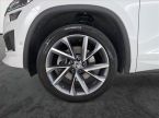 Škoda Kodiaq - fotka číslo 14