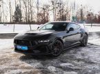 Ford Mustang - fotka číslo 0