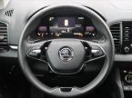 Škoda Karoq - fotka číslo 17