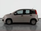Fiat Panda - fotka číslo 2
