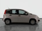Fiat Panda - fotka číslo 5