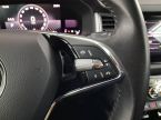 Škoda Kodiaq - fotka číslo 18