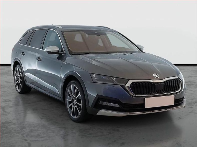 Škoda Octavia - hlavní fotka