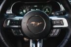 Ford Mustang - fotka číslo 21