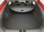 Kia Pro_cee´d - fotka číslo 13