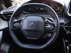 Peugeot 2008 - fotka číslo 13