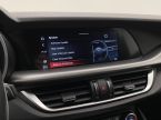 Alfa Romeo Stelvio - fotka číslo 64
