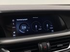 Alfa Romeo Stelvio - fotka číslo 48