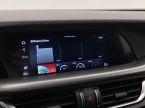 Alfa Romeo Stelvio - fotka číslo 49