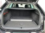 Škoda Octavia - fotka číslo 6