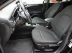 Ford Focus - fotka číslo 8