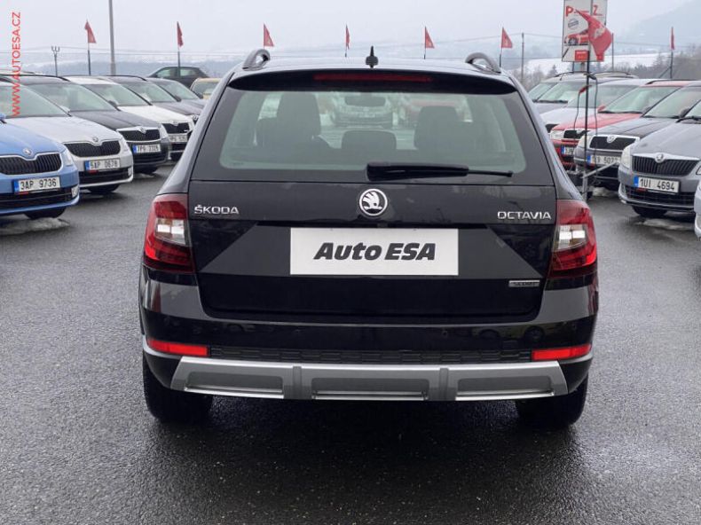 Škoda Octavia - hlavní fotka