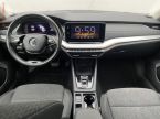 Škoda Octavia - fotka číslo 7