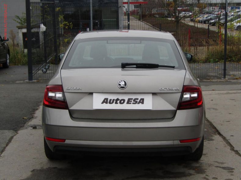 Škoda Octavia - hlavní fotka