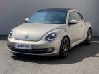 Volkswagen Beetle - fotka číslo 2