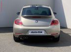 Volkswagen Beetle - fotka číslo 4