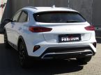 Kia XCeed - fotka číslo 5